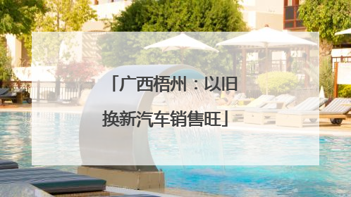 广西梧州：以旧换新汽车销售旺