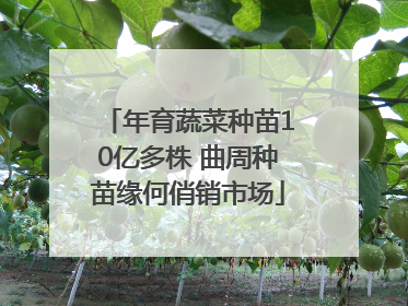 年育蔬菜种苗10亿多株 曲周种苗缘何俏销市场