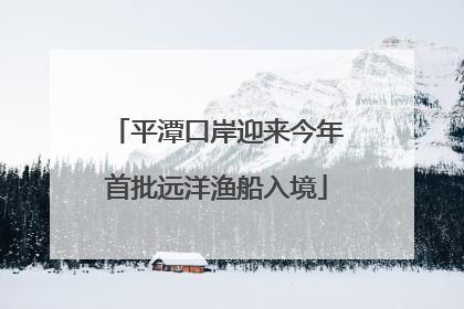平潭口岸迎来今年首批远洋渔船入境