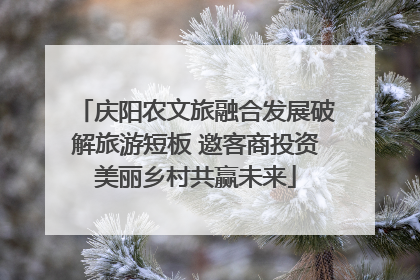 庆阳农文旅融合发展破解旅游短板 邀客商投资美丽乡村共赢未来