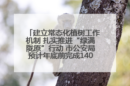 建立常态化植树工作机制 扎实推进“绿满陇原”行动 市公安局预计年底前完成1402亩绿化任务
