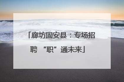 廊坊固安县：专场招聘 “职”通未来