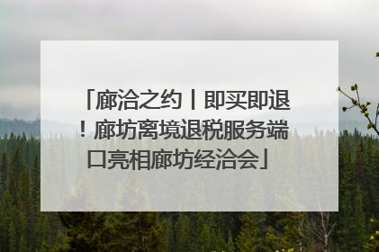 廊洽之约丨即买即退！廊坊离境退税服务端口亮相廊坊经洽会