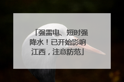 强雷电、短时强降水！已开始影响江西，注意防范