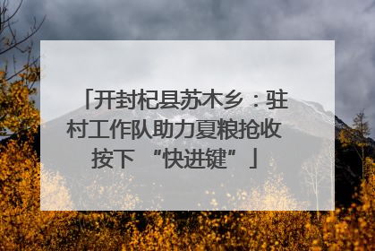 开封杞县苏木乡：驻村工作队助力夏粮抢收按下 “快进键”
