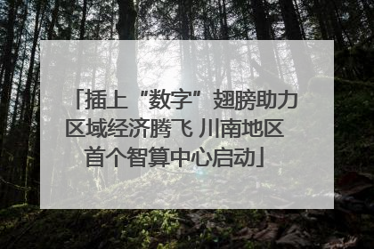 插上“数字”翅膀助力区域经济腾飞 川南地区首个智算中心启动