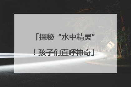 探秘“水中精灵”！孩子们直呼神奇