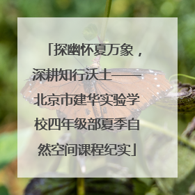 探幽怀夏万象，深耕知行沃土——北京市建华实验学校四年级部夏季自然空间课程纪实