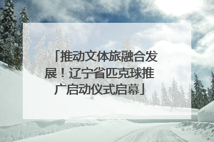 推动文体旅融合发展！辽宁省匹克球推广启动仪式启幕