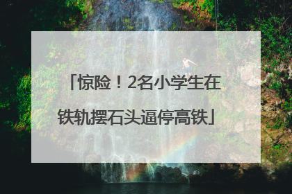 惊险！2名小学生在铁轨摆石头逼停高铁