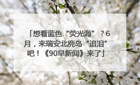 想看蓝色“荧光海”？6月，来瑞安北麂岛“追泪”吧！《90早新闻》来了