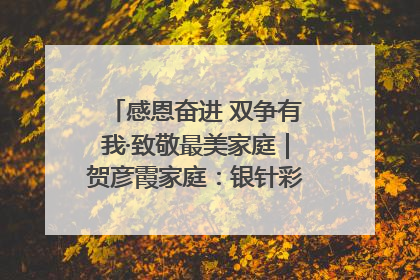 感恩奋进 双争有我·致敬最美家庭｜贺彦霞家庭：银针彩线绣出好日子