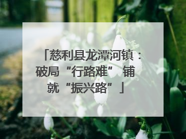 慈利县龙潭河镇：破局“行路难” 铺就“振兴路”