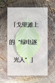 戈壁滩上的“绿电逐光人”