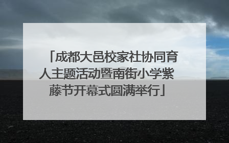 成都大邑校家社协同育人主题活动暨南街小学紫藤节开幕式圆满举行