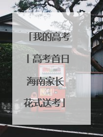 我的高考丨高考首日 海南家长花式送考