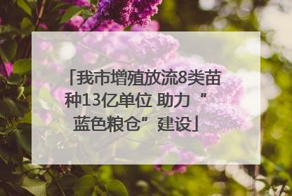 我市增殖放流8类苗种13亿单位 助力“蓝色粮仓”建设