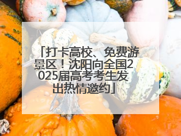 打卡高校、免费游景区！沈阳向全国2025届高考考生发出热情邀约
