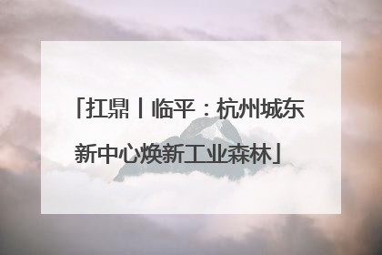 扛鼎丨临平：杭州城东新中心焕新工业森林