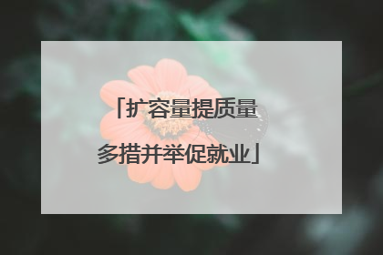 扩容量提质量 多措并举促就业