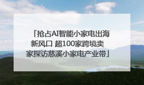 抢占AI智能小家电出海新风口 超100家跨境卖家探访慈溪小家电产业带