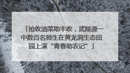 抢收油菜助丰收，武陵源一中数百名师生在黄龙洞生态田园上演“青春助农记”