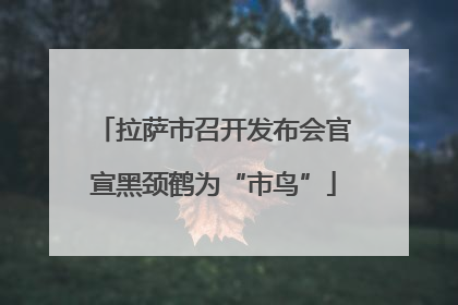 拉萨市召开发布会官宣黑颈鹤为“市鸟”