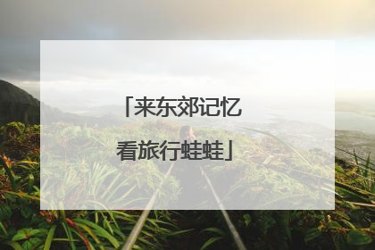 来东郊记忆 看旅行蛙蛙