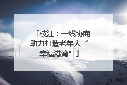 枝江：一线协商助力打造老年人“幸福港湾”