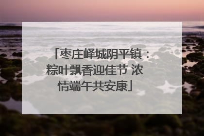 枣庄峄城阴平镇：粽叶飘香迎佳节 浓情端午共安康