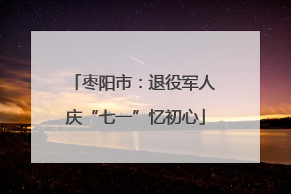 枣阳市：退役军人庆“七一”忆初心