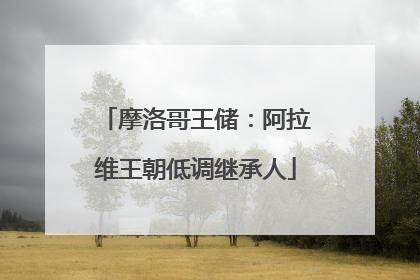 摩洛哥王储：阿拉维王朝低调继承人