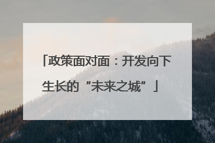 政策面对面：开发向下生长的“未来之城”