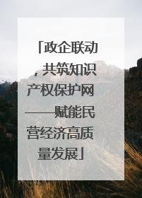 政企联动，共筑知识产权保护网——赋能民营经济高质量发展