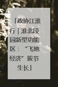 政协江淮行｜淮北段园新型功能区：“飞地经济”拔节生长