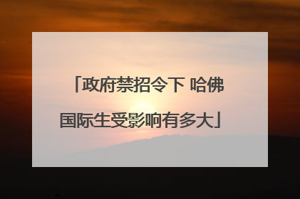 政府禁招令下 哈佛国际生受影响有多大