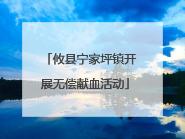 攸县宁家坪镇开展无偿献血活动