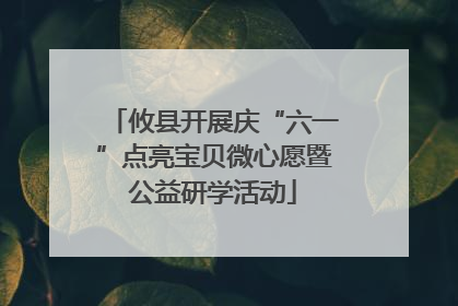 攸县开展庆“六一”点亮宝贝微心愿暨公益研学活动