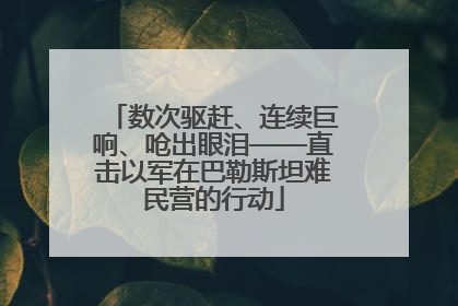 数次驱赶、连续巨响、呛出眼泪——直击以军在巴勒斯坦难民营的行动