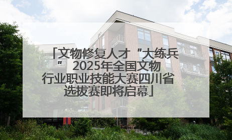 文物修复人才“大练兵” 2025年全国文物行业职业技能大赛四川省选拔赛即将启幕