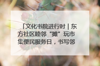 文化书院进行时｜东方社区睦邻“摊”玩市集便民服务日，书写邻里共生新篇章