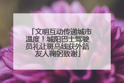 文明互动传递城市温度！城阳巴士驾驶员礼让斑马线获外籍友人鞠躬致谢
