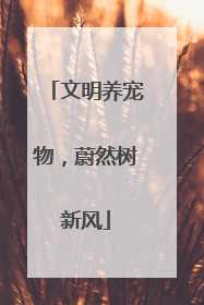 文明养宠物，蔚然树新风