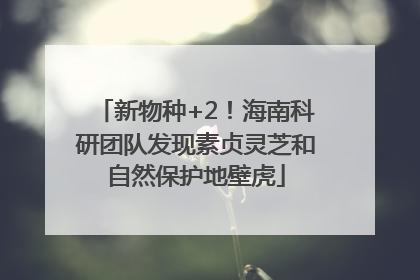 新物种+2！海南科研团队发现素贞灵芝和自然保护地壁虎