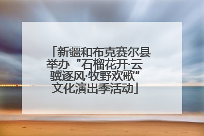 新疆和布克赛尔县举办“石榴花开·云骥逐风·牧野欢歌”文化演出季活动