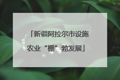 新疆阿拉尔市设施农业“棚”勃发展