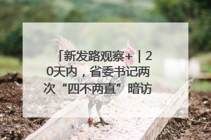 新发路观察+｜20天内，省委书记两次“四不两直”暗访，有何深意？