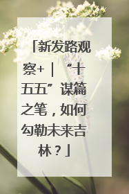 新发路观察+｜“十五五”谋篇之笔，如何勾勒未来吉林？