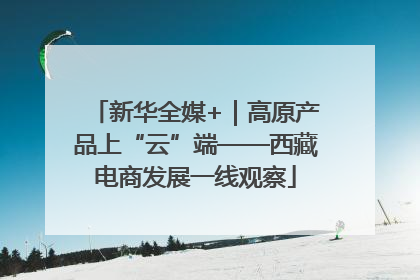 新华全媒+｜高原产品上“云”端——西藏电商发展一线观察