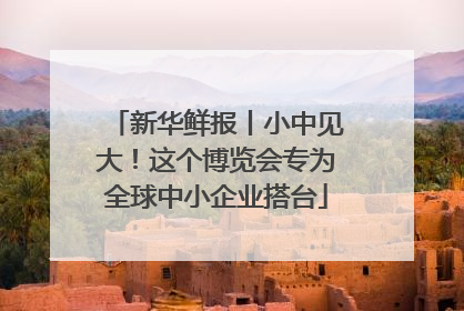 新华鲜报丨小中见大！这个博览会专为全球中小企业搭台